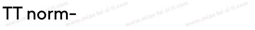 TT norm字体转换